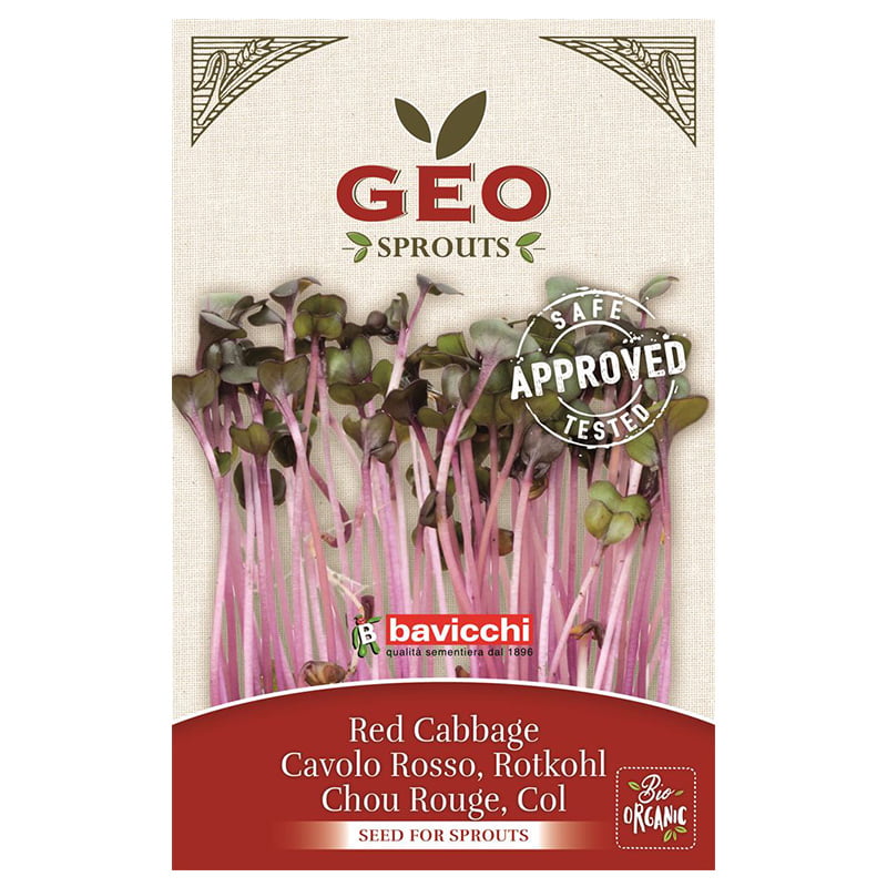 GEO Rödkålfrö EKO 12g - Bild 2